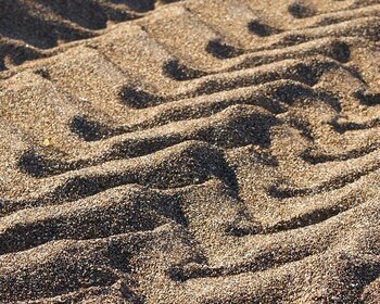 Focus sur le transport de sable et de gravillon avec le Groupe Bernardi &#128269;✅